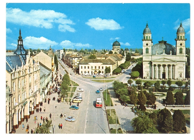 1809 - Satu Mare